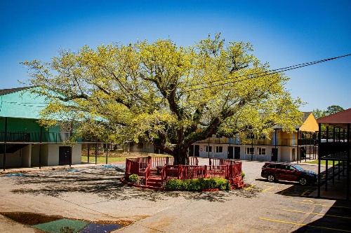 Super 8 by Wyndham Biloxi image 2